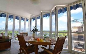 Palm beach átic puzol